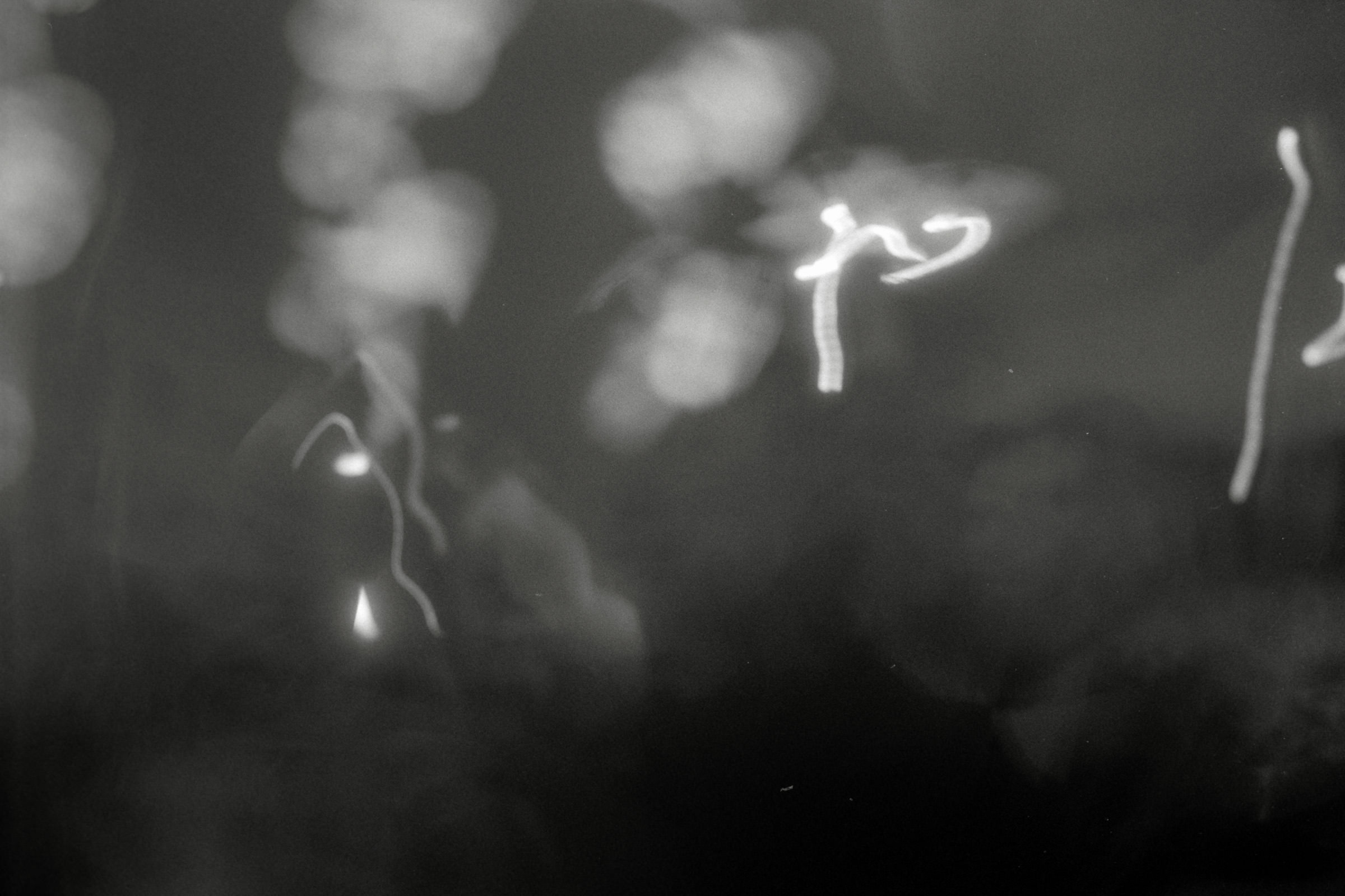 AHP F1998 05 002 sc240815 img11 NLP